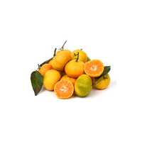 Мандарины Абхазские