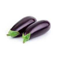 Баклажан Багира