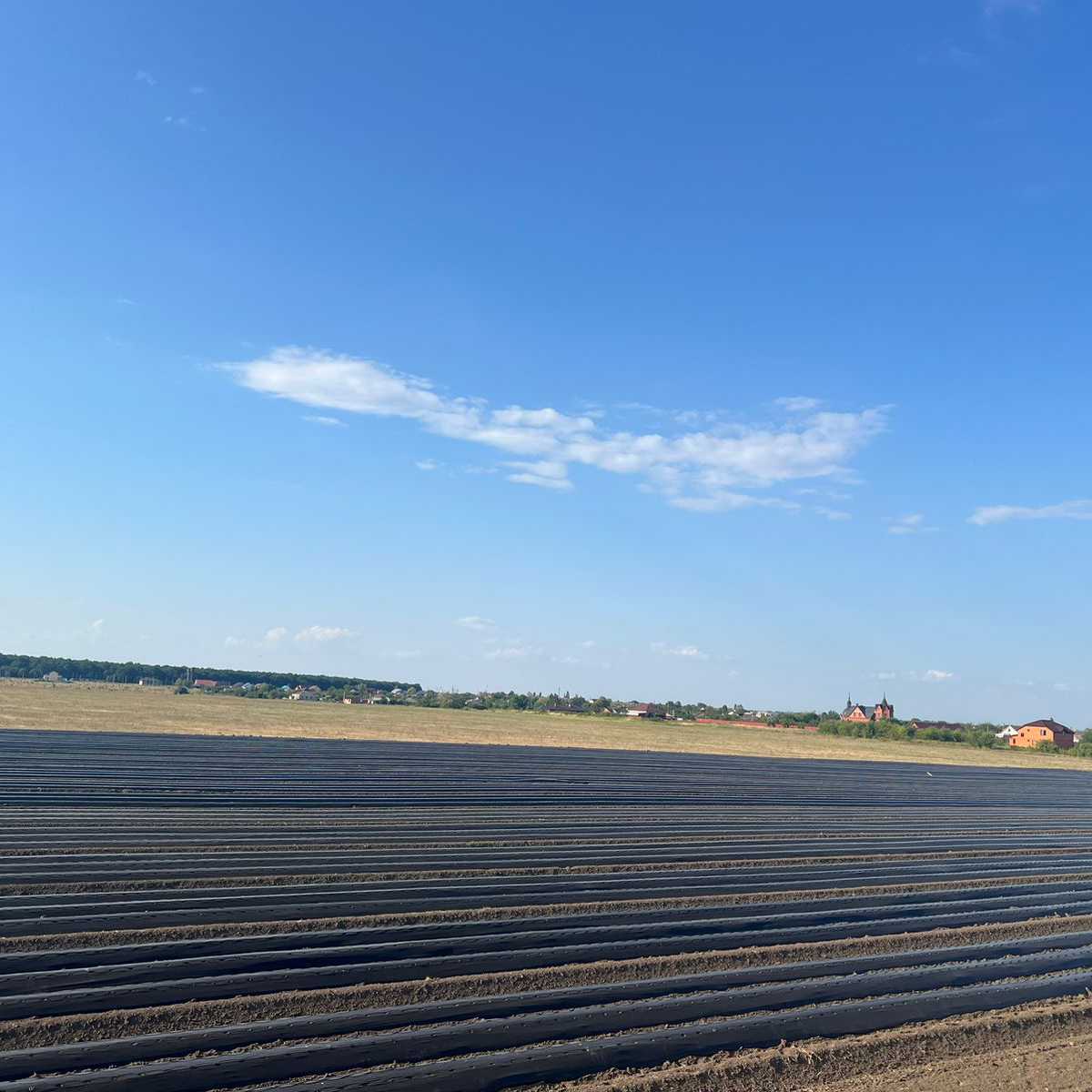 Работы по прошествии сезона.